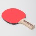 Ракетка для настольного тенниса Donic Level 150 Champs Line, код: MT-705116