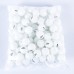 Шарики для настольного тенниса Wilson G40+ ***, 144 шт, код: WLS144