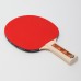 Ракетка для настольного тенниса Donic Level 200 Champs Line , код: MT-705122