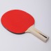 Набор для настольного тенниса Donic Level 100 Appelgren, код: MT-788610
