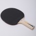 Набор для настольного тенниса Donic Level 100 Appelgren, код: MT-788610