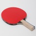 Ракетка для настольного тенниса Butterfly Timo Boll Silver, код: 85016