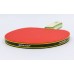 Ракетка для настольного тенниса Dunlop D TT BT Rage Predator, код: 679206
