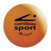 Мячи для настольного тенниса Cornilleau Sport Expert (6 шт.), код: CRMSE6O